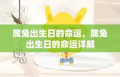 属兔出生日的命运详解,揭示生肖兔不同出生日的命运走向