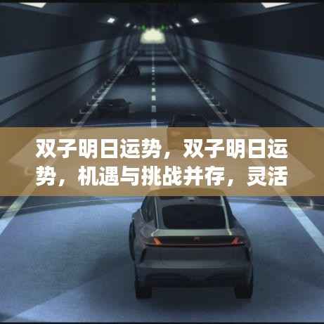双子明日运势揭秘,机遇与挑战并存,灵活应对收获满满惊喜