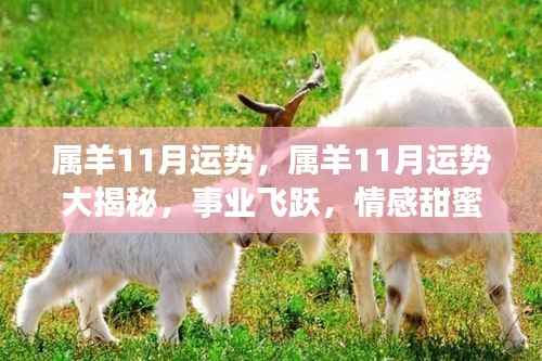 张皇铺饰 第3页