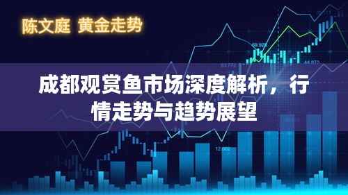 成都观赏鱼市场深度解析,行情走势与趋势展望