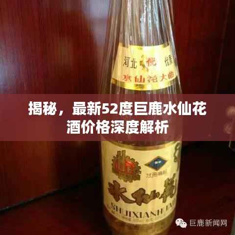 揭秘,最新52度巨鹿水仙花酒价格深度解析
