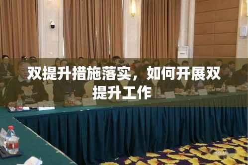 双提升措施落实,如何开展双提升工作