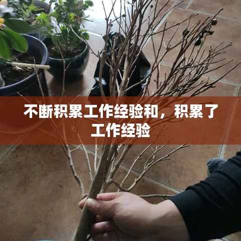 不断积累工作经验和,积累了 工作经验