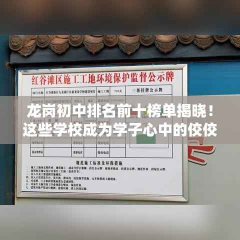 龙岗初中排名前十榜单揭晓!这些学校成为学子心中的佼佼者!