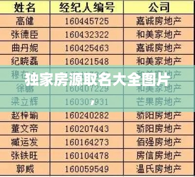 独家房源取名大全图片,