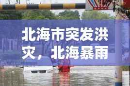 北海市突发洪灾,北海暴雨灾害