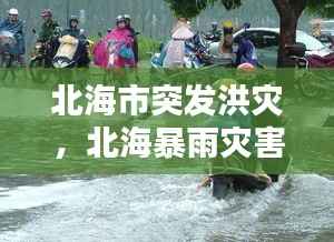 北海市突发洪灾,北海暴雨灾害