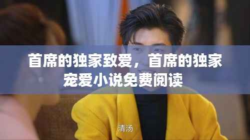 首席的独家致爱,首席的独家宠爱小说免费阅读