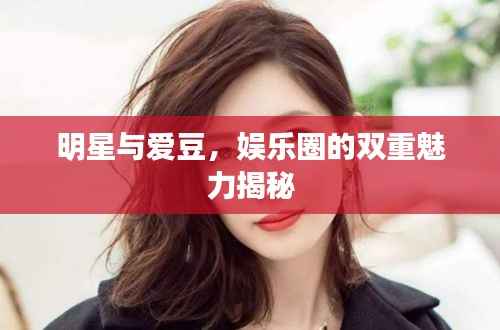 明星与爱豆,娱乐圈的双重魅力揭秘