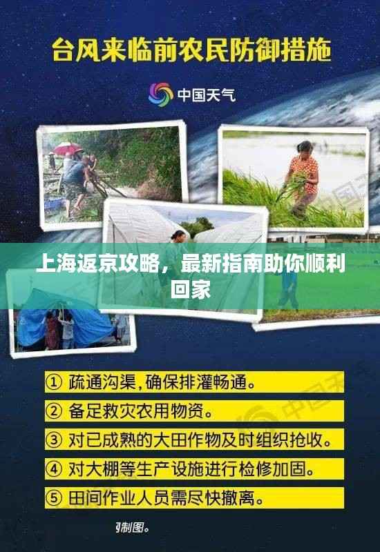 上海返京攻略,最新指南助你顺利回家