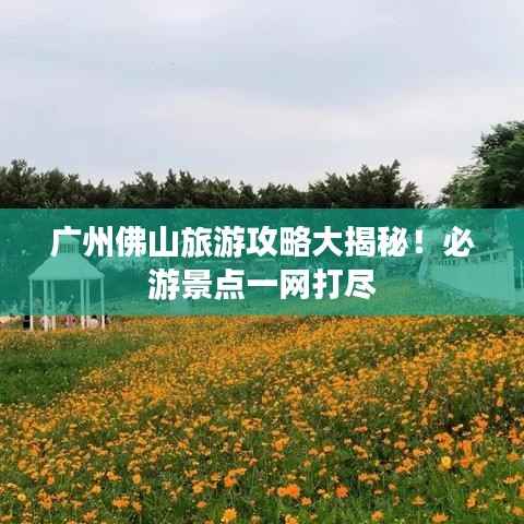 广州佛山旅游攻略大揭秘!必游景点一网打尽