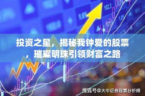 投资之星,揭秘我钟爱的股票,璀璨明珠引领财富之路