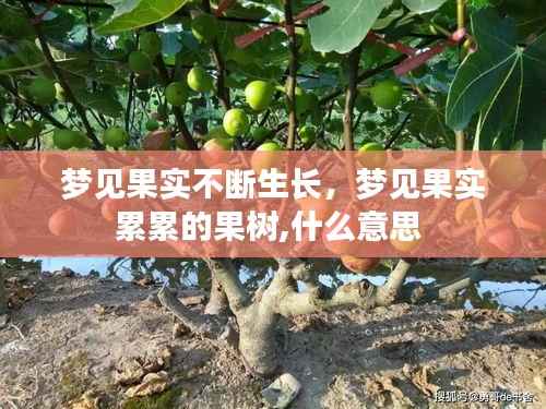 梦见果实不断生长,梦见果实累累的果树,什么意思