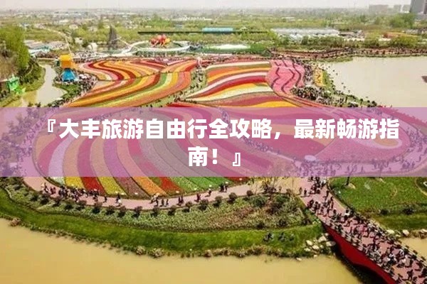 『大丰旅游自由行全攻略,最新畅游指南!』