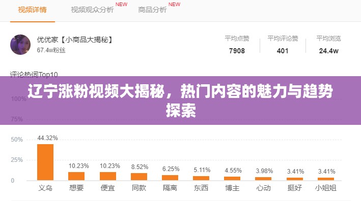 辽宁涨粉视频大揭秘,热门内容的魅力与趋势探索