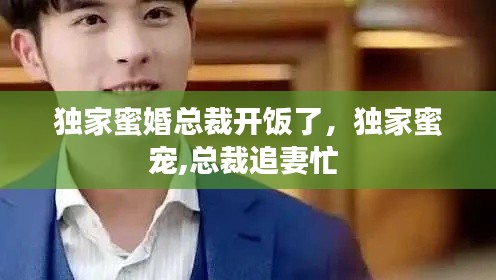 独家蜜婚总裁开饭了,独家蜜宠,总裁追妻忙