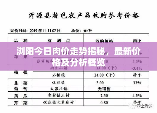 浏阳今日肉价走势揭秘,最新价格及分析概览