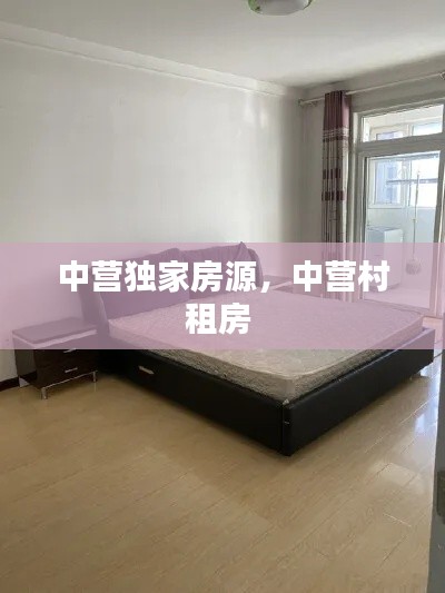 如翚斯飞 第2页