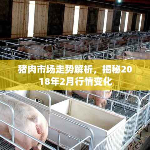 猪肉市场走势解析,揭秘2018年2月行情变化