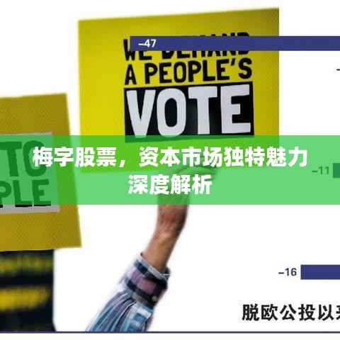梅字股票,资本市场独特魅力深度解析