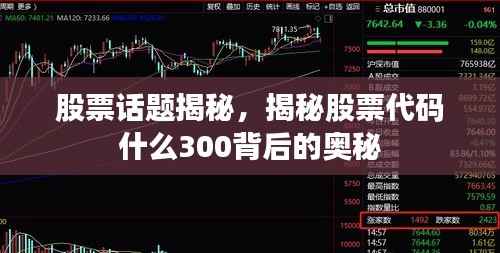 股票话题揭秘,揭秘股票代码什么300背后的奥秘