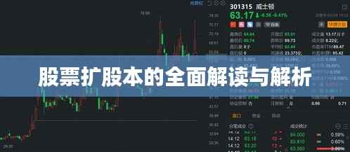 股票扩股本的全面解读与解析