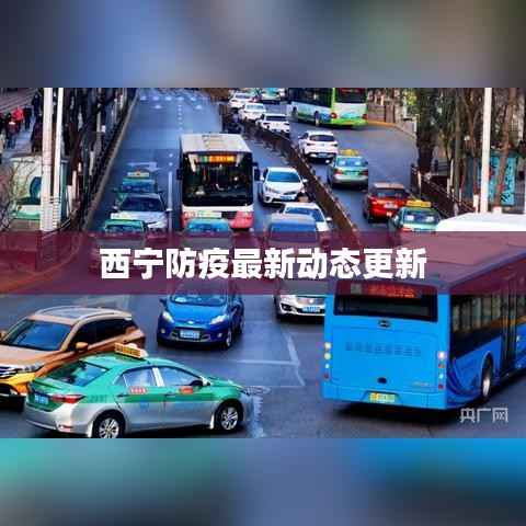 西宁防疫最新动态更新