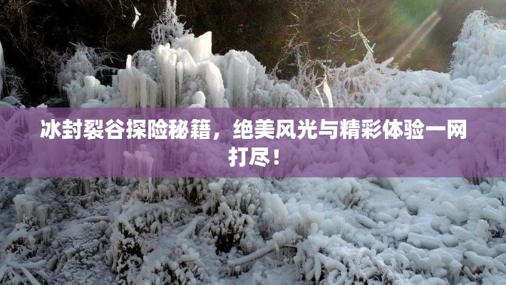 冰封裂谷探险秘籍,绝美风光与精彩体验一网打尽!