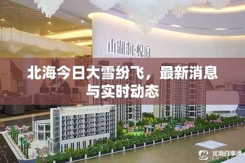 北海今日大雪纷飞,最新消息与实时动态
