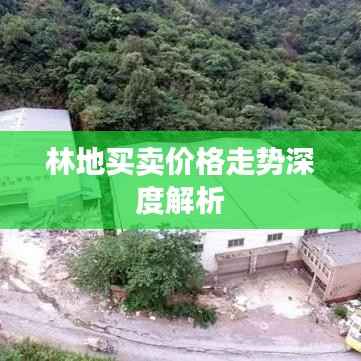 林地买卖价格走势深度解析