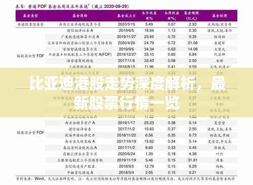 比亚迪港股走势深度解析,最新股票行情一览