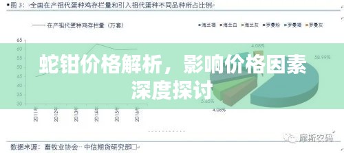 蛇钳价格解析,影响价格因素深度探讨
