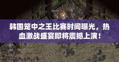 韩国笼中之王比赛时间曝光,热血激战盛宴即将震撼上演!