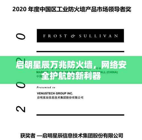 启明星辰万兆防火墙,网络安全护航的新利器