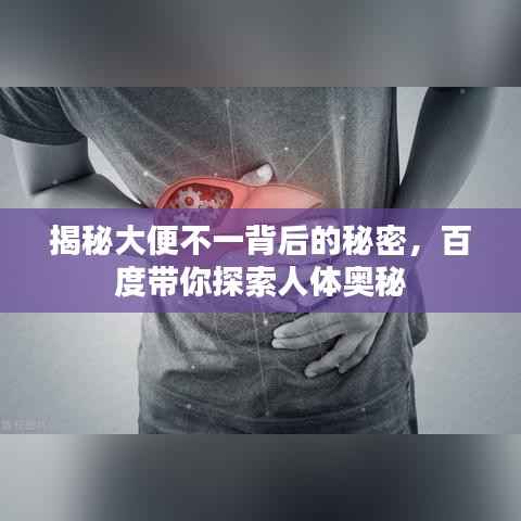 揭秘大便不一背后的秘密,百度带你探索人体奥秘