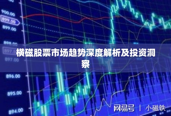 横磁股票市场趋势深度解析及投资洞察