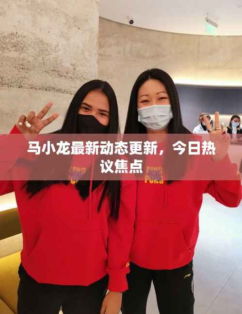 马小龙最新动态更新,今日热议焦点