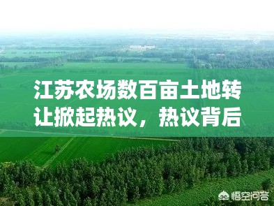 江苏农场数百亩土地转让掀起热议,热议背后的机遇与挑战