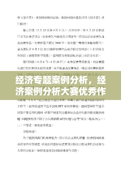 经济专题案例分析,经济案例分析大赛优秀作品