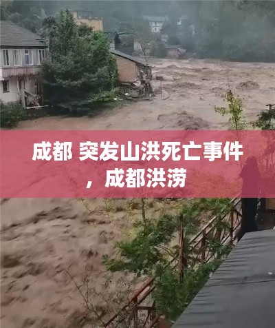 成都 突发山洪死亡事件,成都洪涝