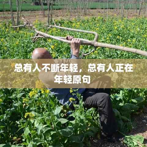 总有人不断年轻,总有人正在年轻原句