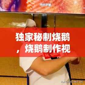 独家秘制烧鹅,烧鹅制作视频完整版