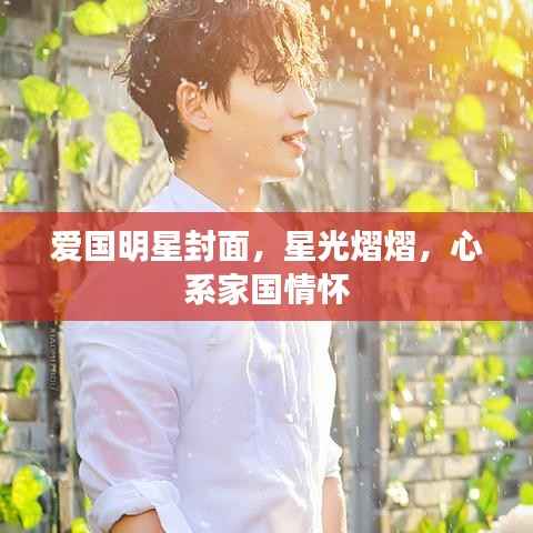 爱国明星封面,星光熠熠,心系家国情怀