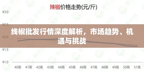 线椒批发行情深度解析,市场趋势、机遇与挑战