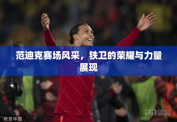 范迪克赛场风采,铁卫的荣耀与力量展现