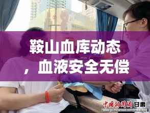 鞍山血库动态,血液安全无偿献血事业备受关注