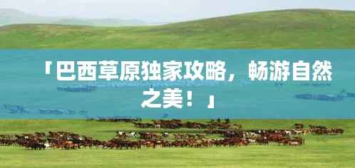 「巴西草原独家攻略,畅游自然之美!」