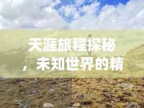 天涯旅程探秘,未知世界的精彩旅游攻略