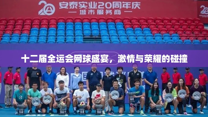 十二届全运会网球盛宴,激情与荣耀的碰撞