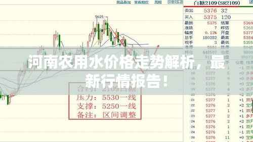 迷离马虎 第2页